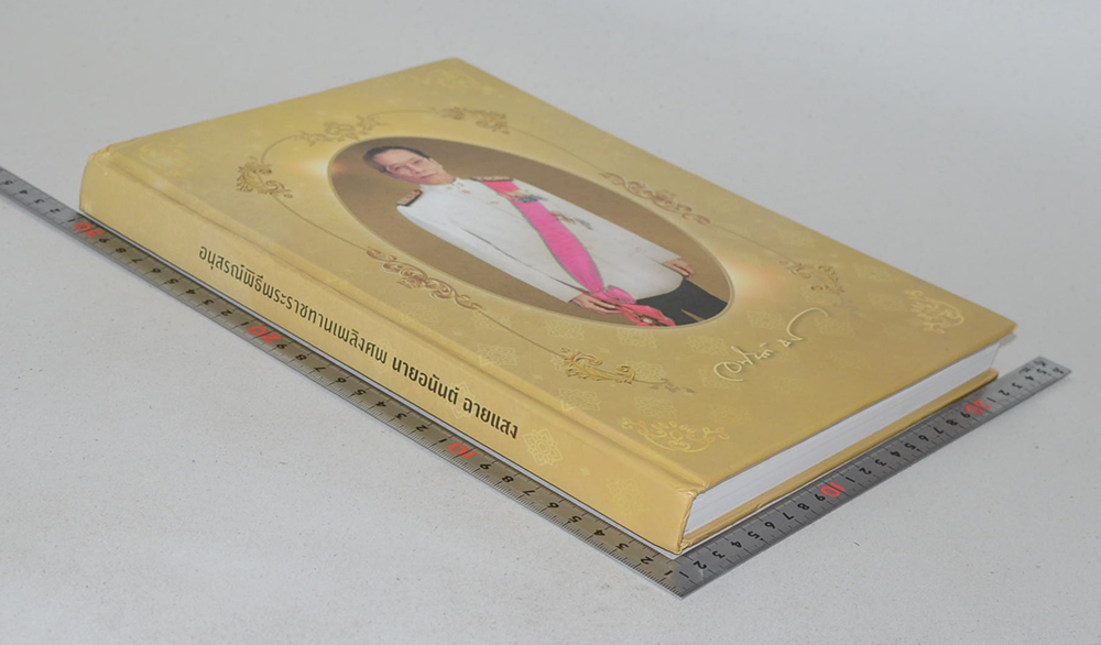 นายอนันต์ ฉายแสง (จิตวิญญาณเพื่อชาวบ้านและการเมือง)