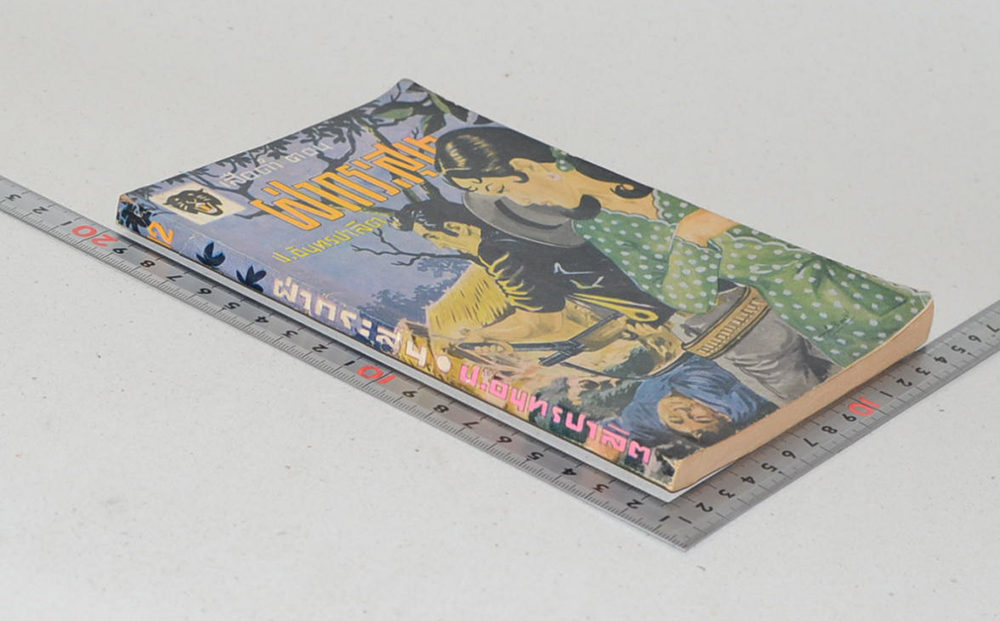 เสือดำ ตอน ฝ่ากระสุน (เล่ม 12)