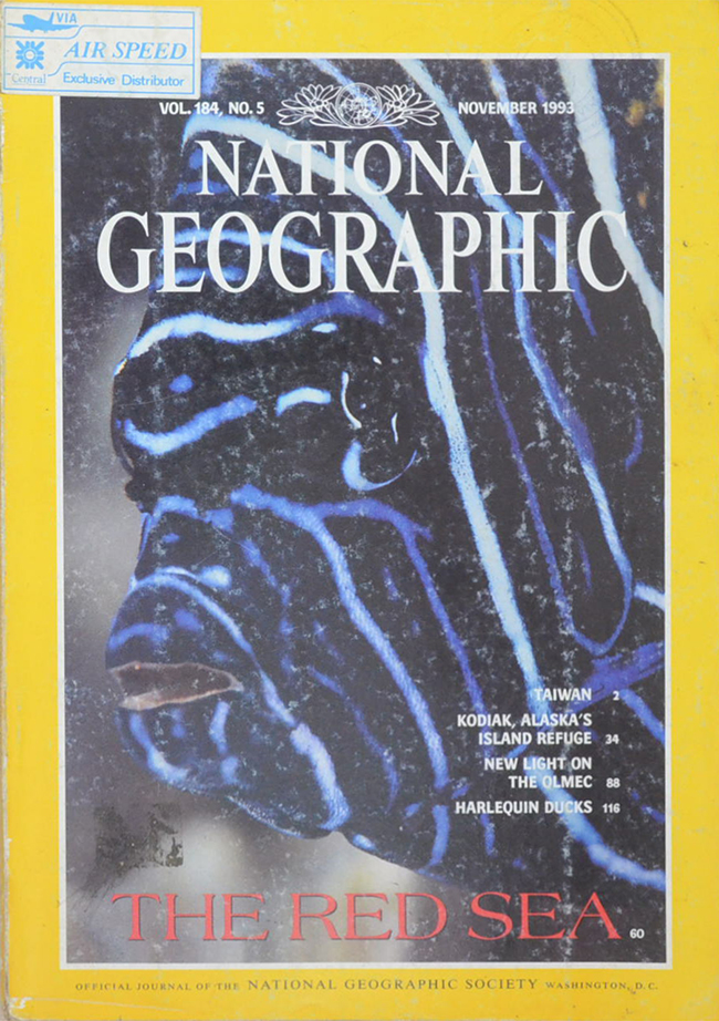 NATIONAL GEOGRAPHIC Vol.184 No.5 NOVEMBER 1993