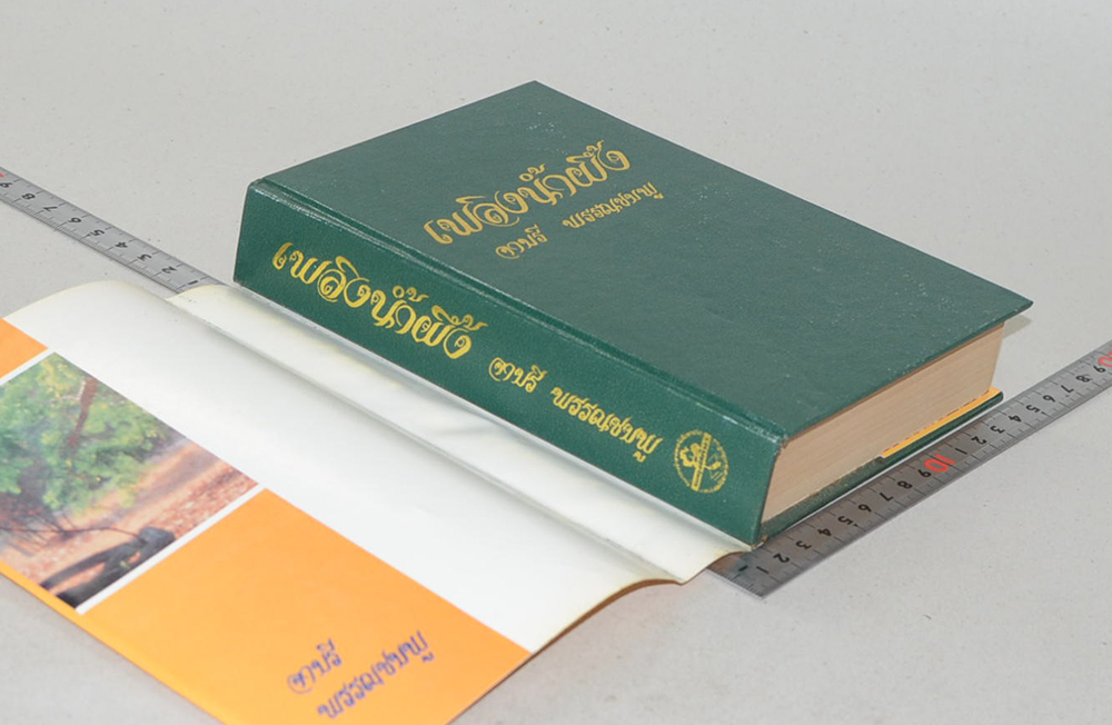 เพลิงน้ำผึ้ง (เล่มเดียวจบ)