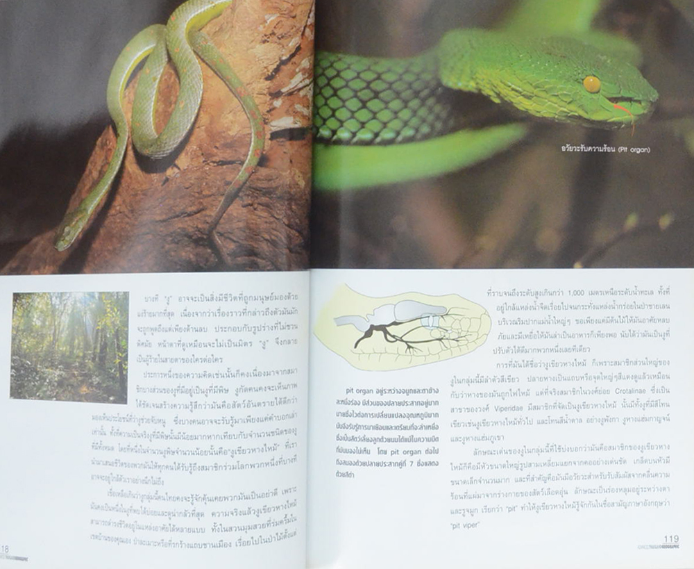 ADVANCED THAILAND GEOGRAPHIC ปีที่ 7 ฉบับที่ 51 กุมภาพันธ์-มีนาคม 2545