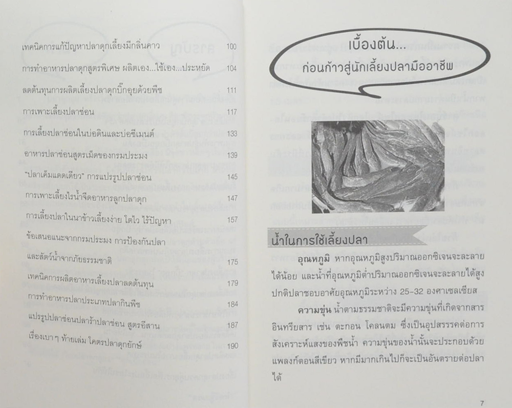 บิ๊กอุย...ปลาดุกไซส์ยักษ์
