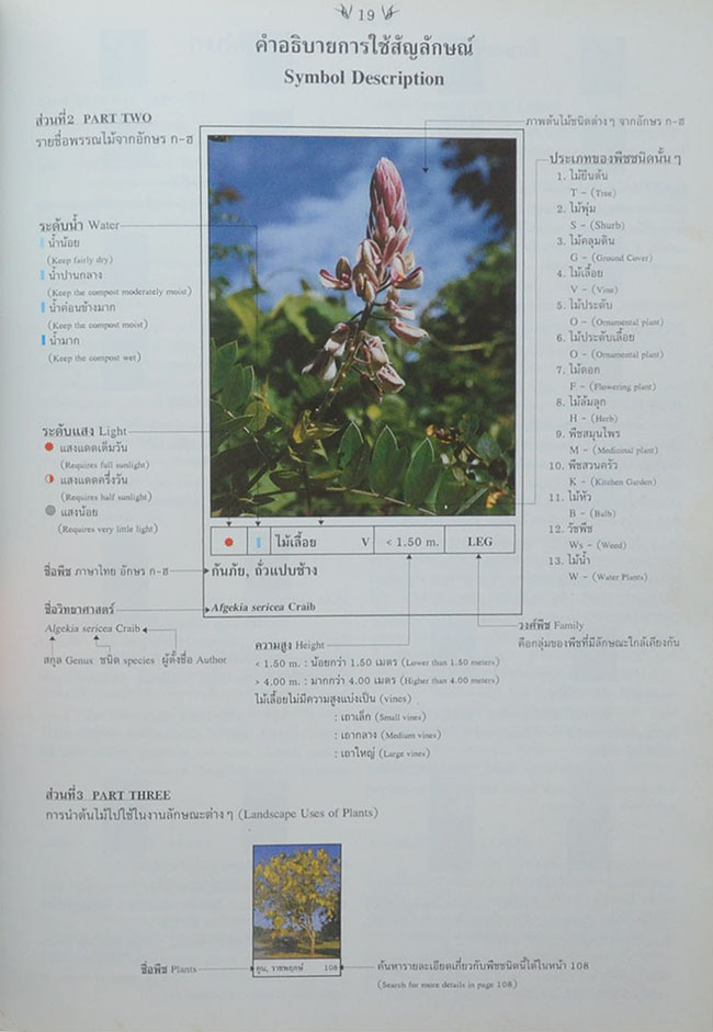 พฤกษาพัน (ภาษาไทย-อังกฤษ)