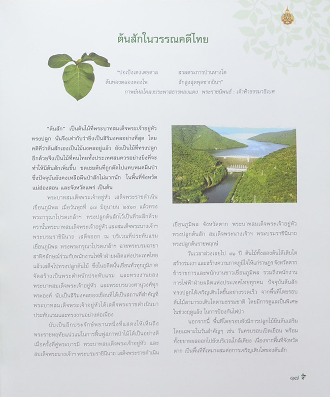 ต้นไม้ทรงปลูก (ไม่มี CD / พร้อมกล่อง / ขายตามสภาพ)