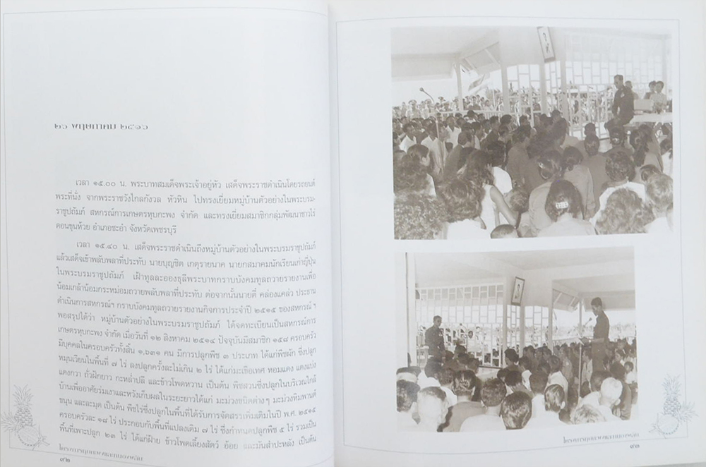 โครงการหุบกะพงและหนองพลับ