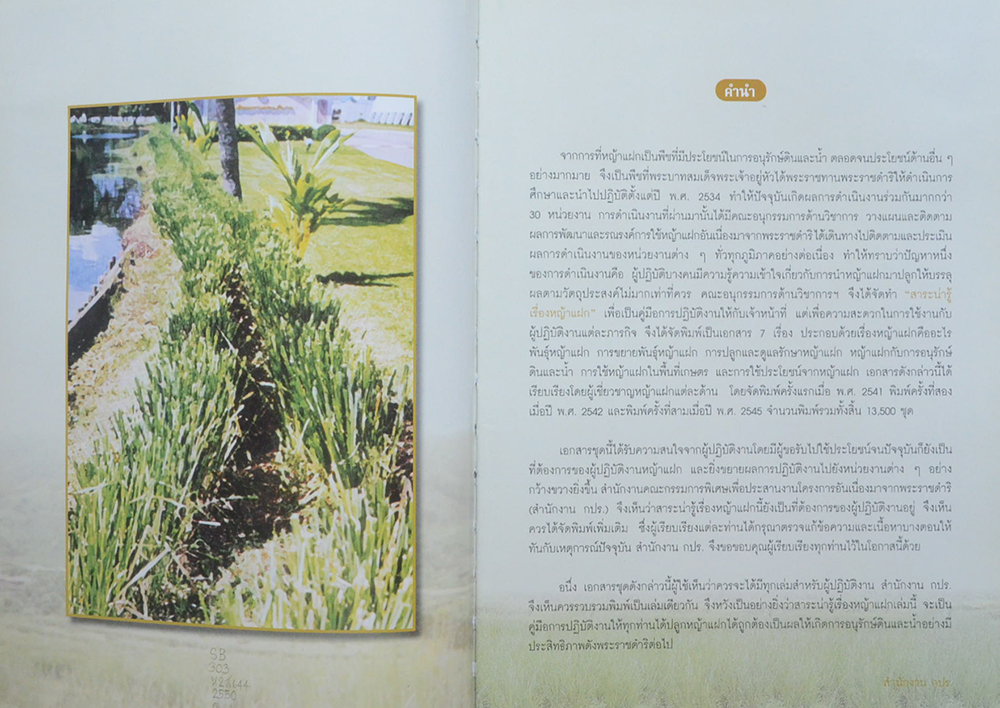 หญ้าแฝก (ขายตามสภาพ)