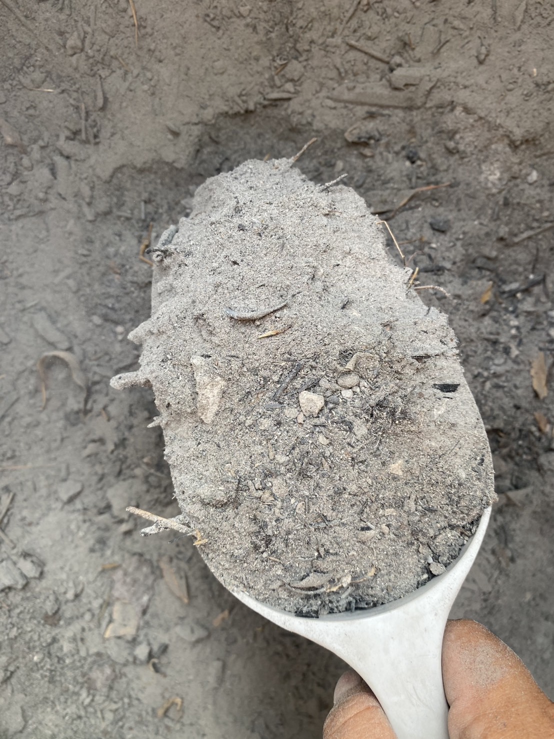 ขี้เถ้า (เผาจากไม้และถ่าน) ขี้เถ้าเกษตร