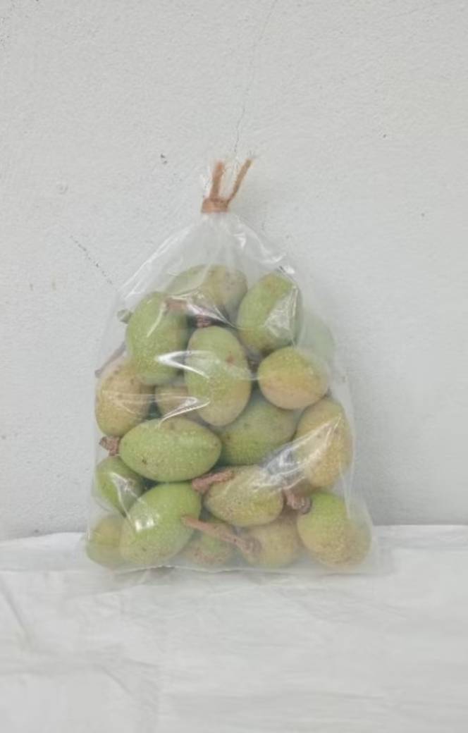 มะกอกป่า สด สะอาด กลิ่นหอม