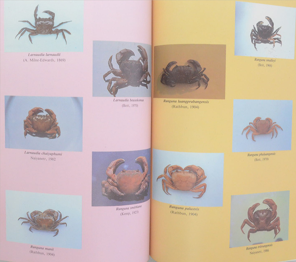 รศ.นพ.ประพันธ์ จิตต์จำนงค์ (เครื่องราชอิสริยาภรณ์-ปูน้ำจืดในประเทศไทย)