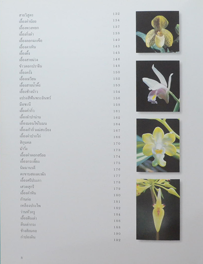 สวนพฤกษศาสตร์สมเด็จพระนางเจ้าสิริกิติ์ เล่ม 6 กล้วยไม้ไทย (ขายตามสภาพ)