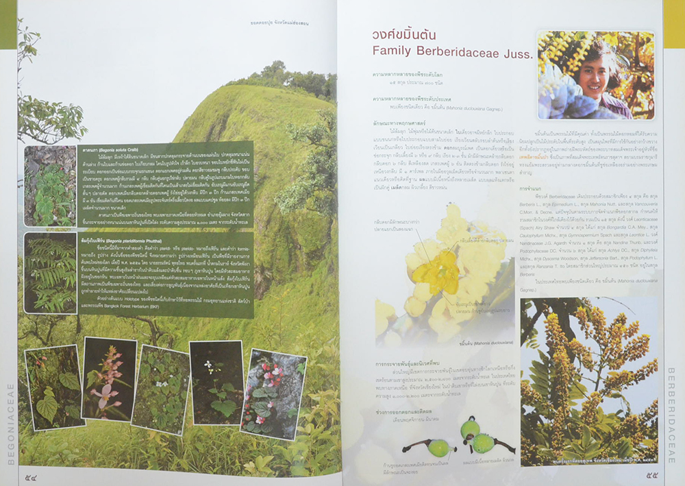 84 วงศ์พรรณไม้ เทิดไท้องค์ราชัน