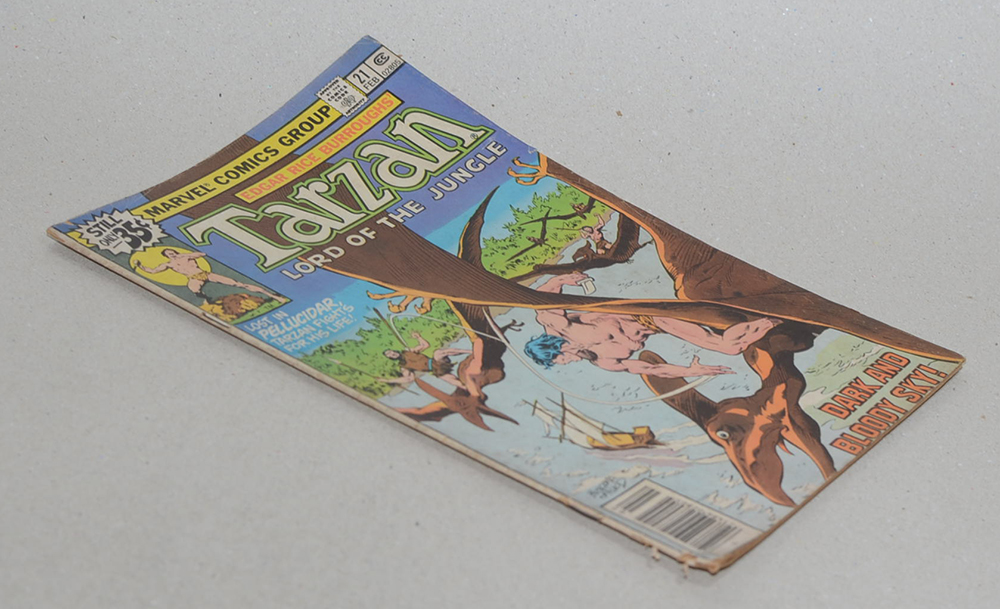 Tarzan LORD OF THE JUNGLE