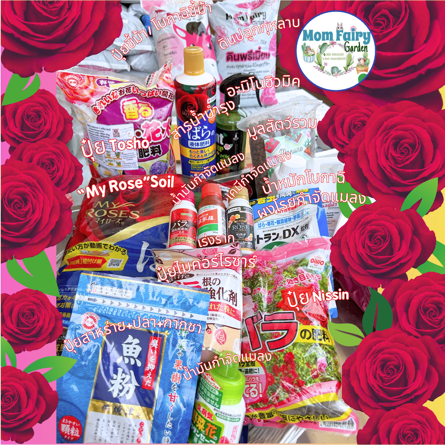 Protoleaf ปุ๋ยไมคอร์ไรซาร์ Mycorrhiza 200g. ผสม compost + เชื้อรา 18 ชนิด ช่วยปรับปรุงคุณภาพดิน ดูดซับอาหาร สำหรับกุหลาบ