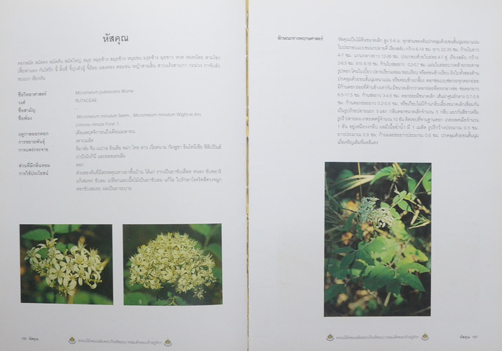 พรรณไม้หอม เฉลิมพระเกียรติพระบาทสมเด็จพระเจ้าอยู่หัว (ขายตามสภาพ)