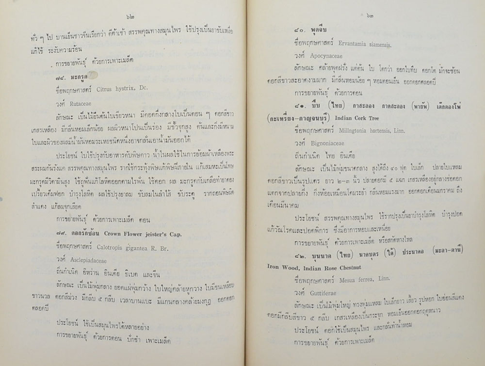 สิทธิเทศานนท์ (เรื่องต้นไม้ในวรรณคดี)