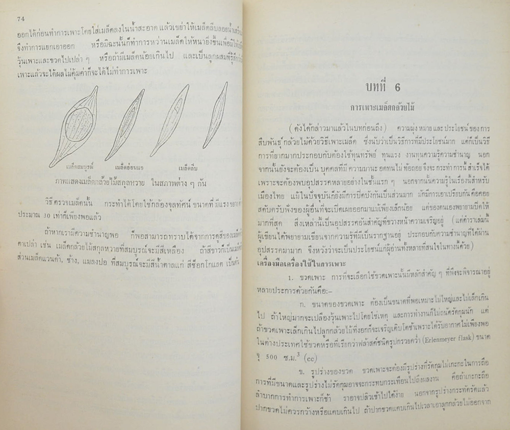 คุณแม่ไปล่ และ นางแฉล้ม ฮวบดี (ตำรากล้วยไม้)