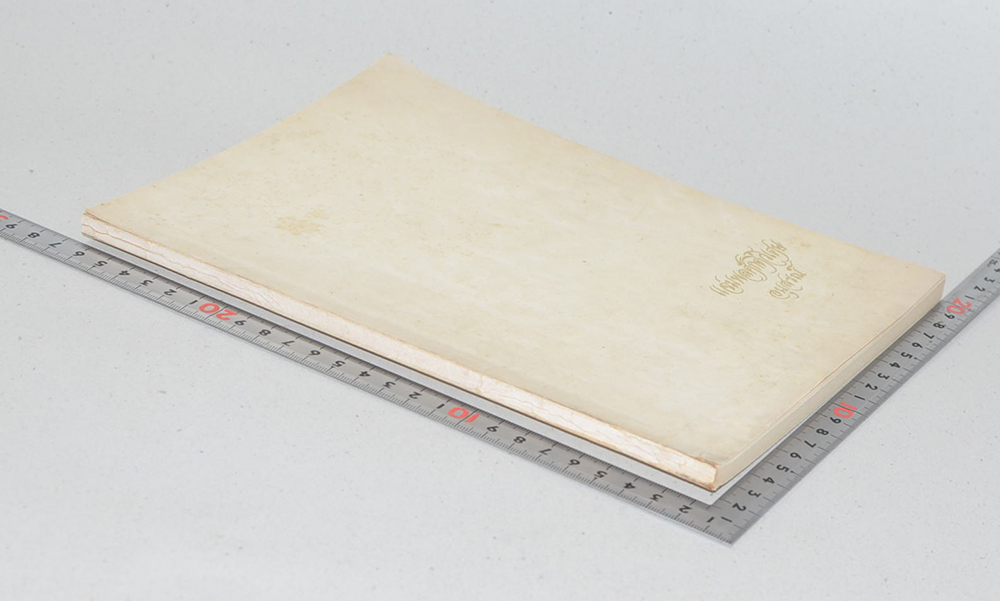 แจ่มพลศักดิ์วิเศษ (บันทึกการเดินทางไปดูงานสหรัฐอเมริกา)