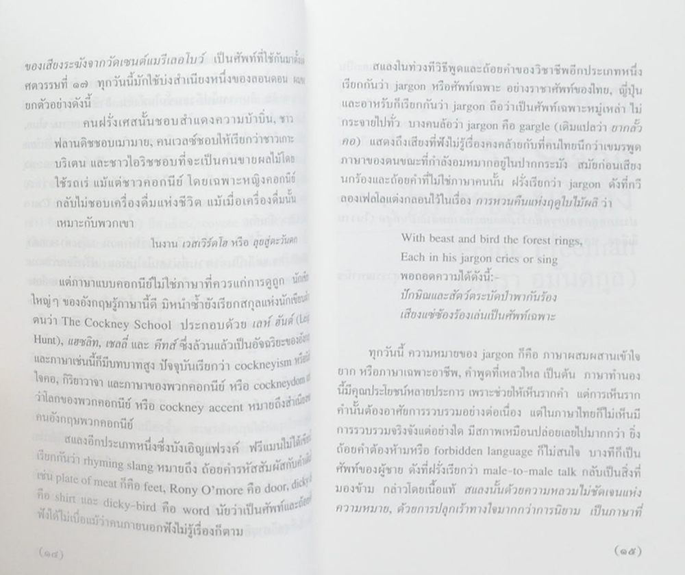 SLANG ไม่ใช่ของแสลง (เล่ม 2)