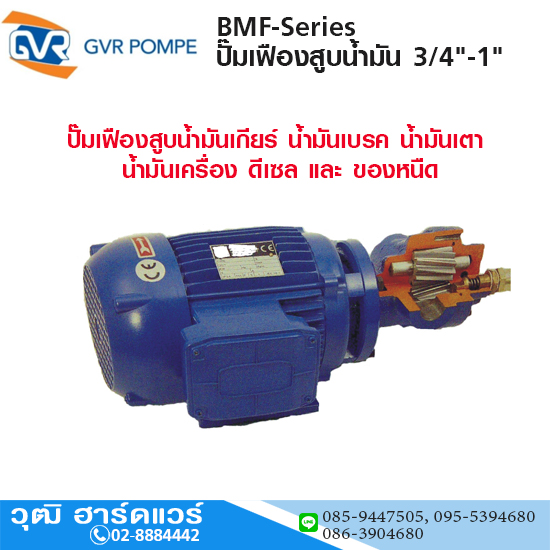 GVR BMF-Series ปั๊มเฟืองสูบน้ำมัน 3/4"-1"