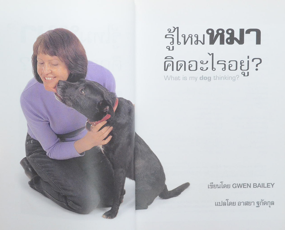 รู้ไหมหมาคิดอะไรอยู่?