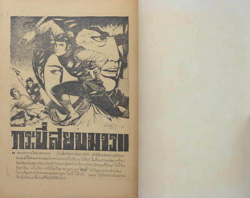 สิงห์ดำ (2 เล่มจบ/ขายตามสภาพ)