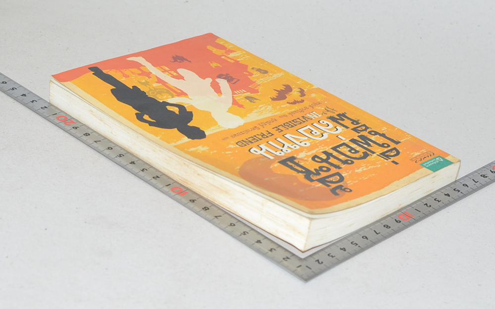 เพื่อนซี้ผีล่องหน