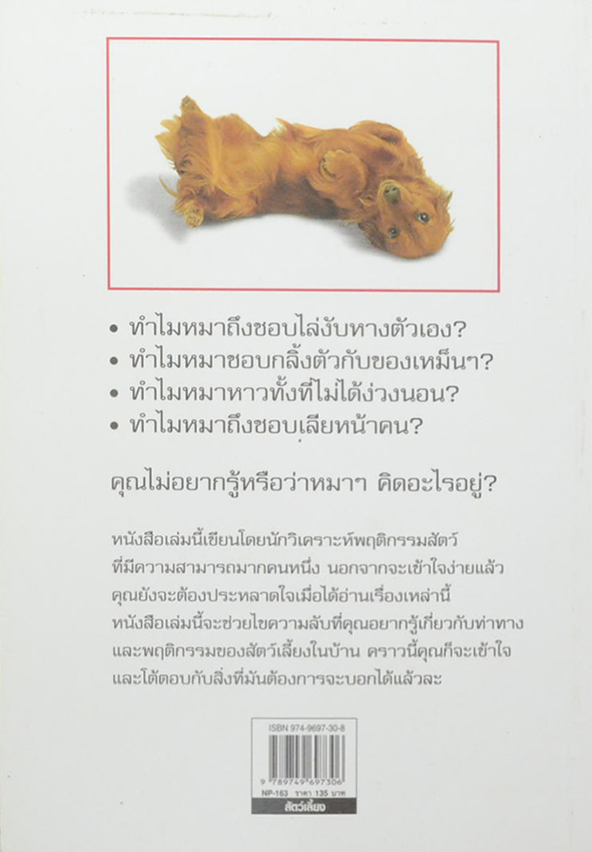 รู้ไหมหมาคิดอะไรอยู่?