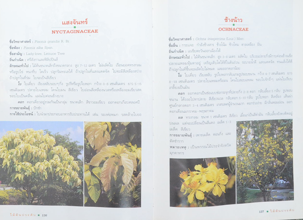 ไม้ต้นประดับ (เล่ม 2) (ขายตามสภาพ)