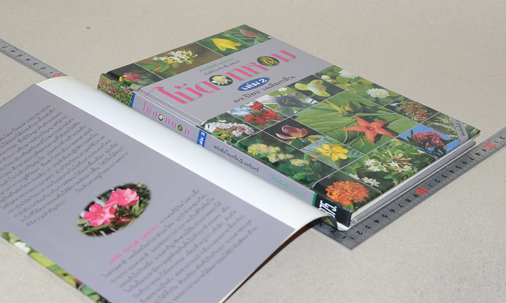 ไม้ดอกหอม (เล่ม 2)