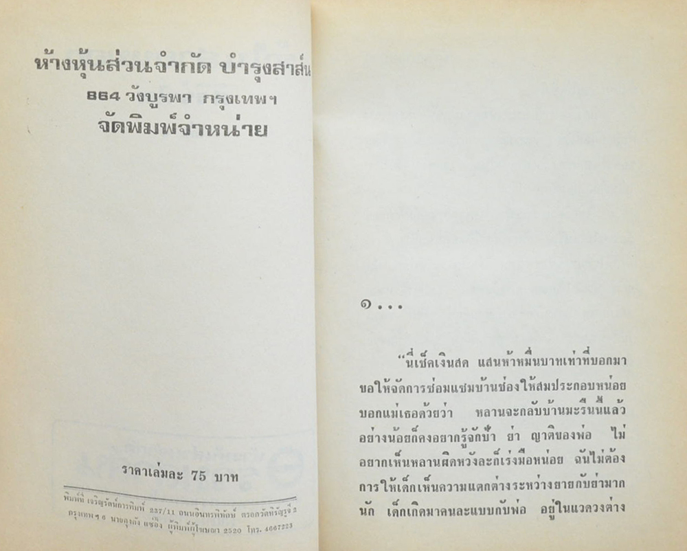รักในสายหมอก (2 เล่มจบ)