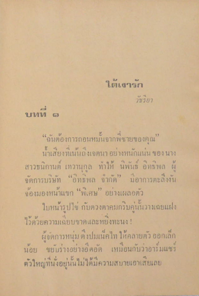 ใต้เงารัก (เล่มเดียวจบ)