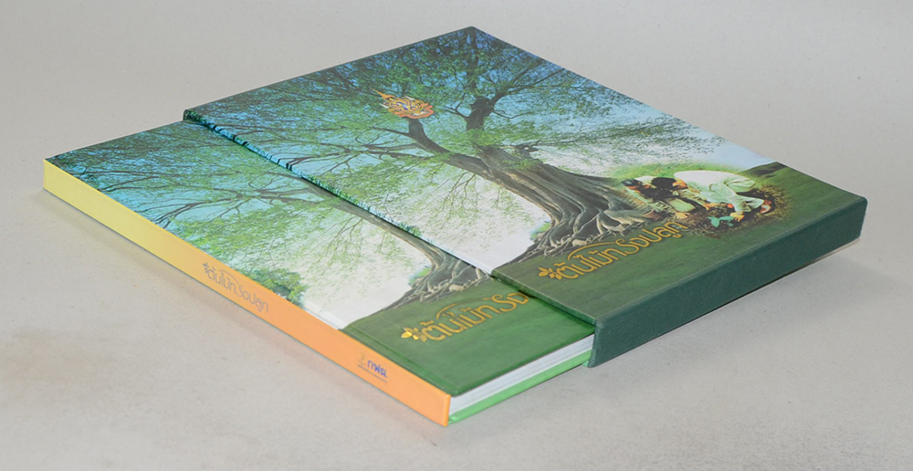 ต้นไม้ทรงปลูก (ไม่มี CD / พร้อมกล่อง / ขายตามสภาพ)