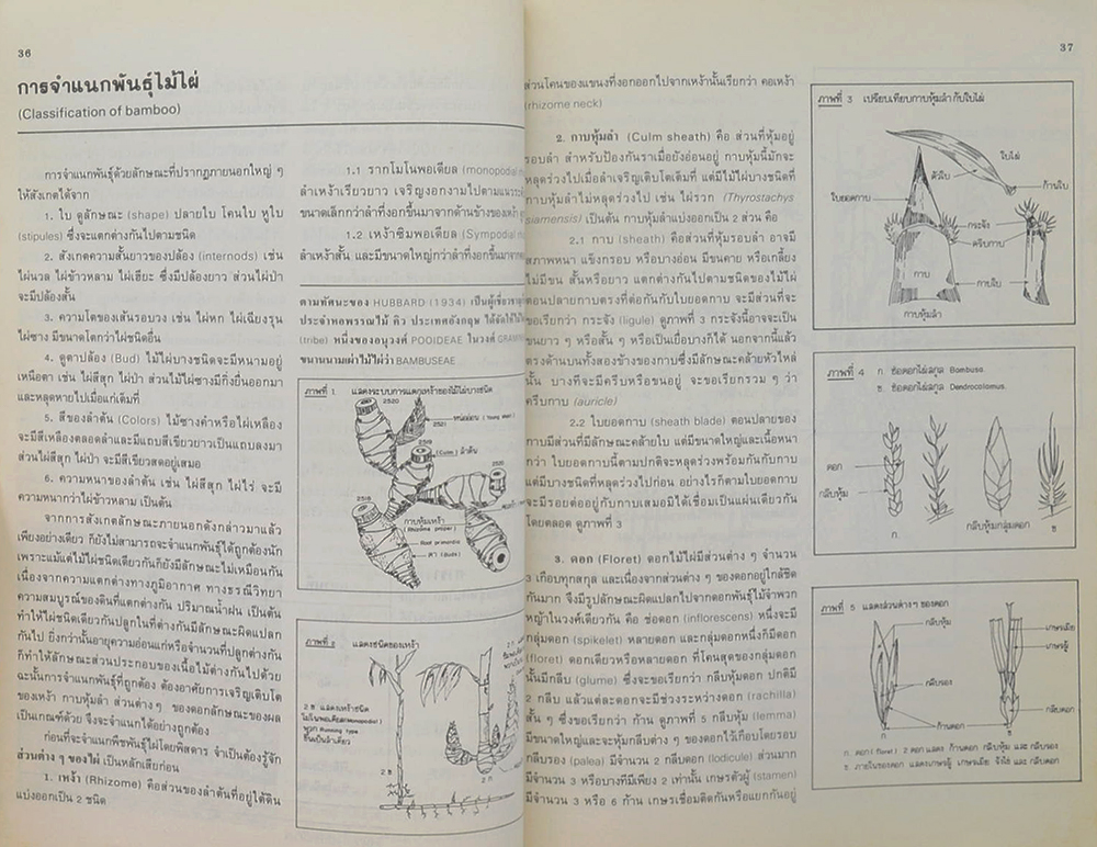 วันต้นไม้ประจำปีแห่งชาติ 2530