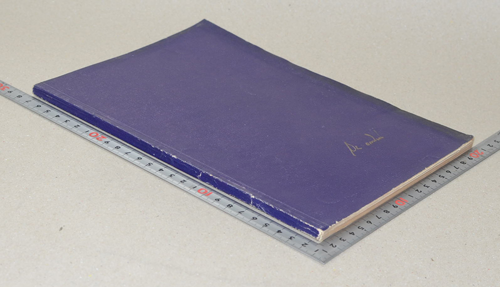 นายชนะ อัคนิทัต (แนวทางแห่งความสุข)