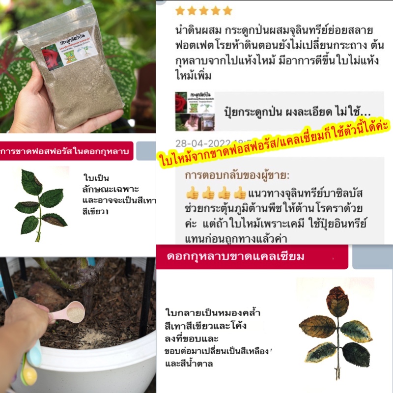 🔥ปุ๋ยกระดูกป่น ไม่เน่าปลายดอก แก้อาการใบไหม้จากการขาดฟอสฟอรัส แคลเซี่ยม บำรุงราก Bone Meal