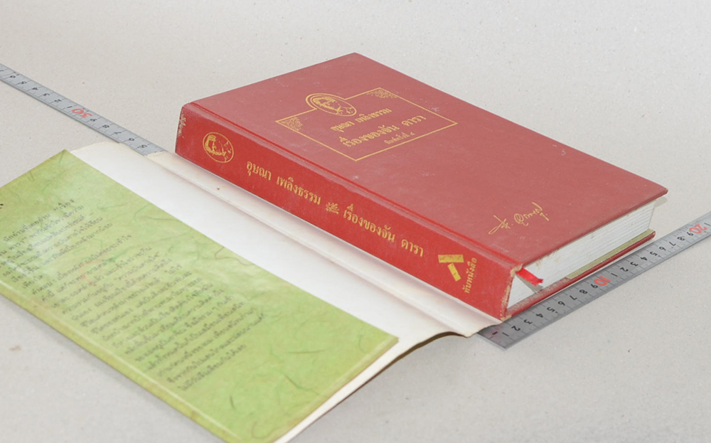 เรื่องของ จัน ดารา