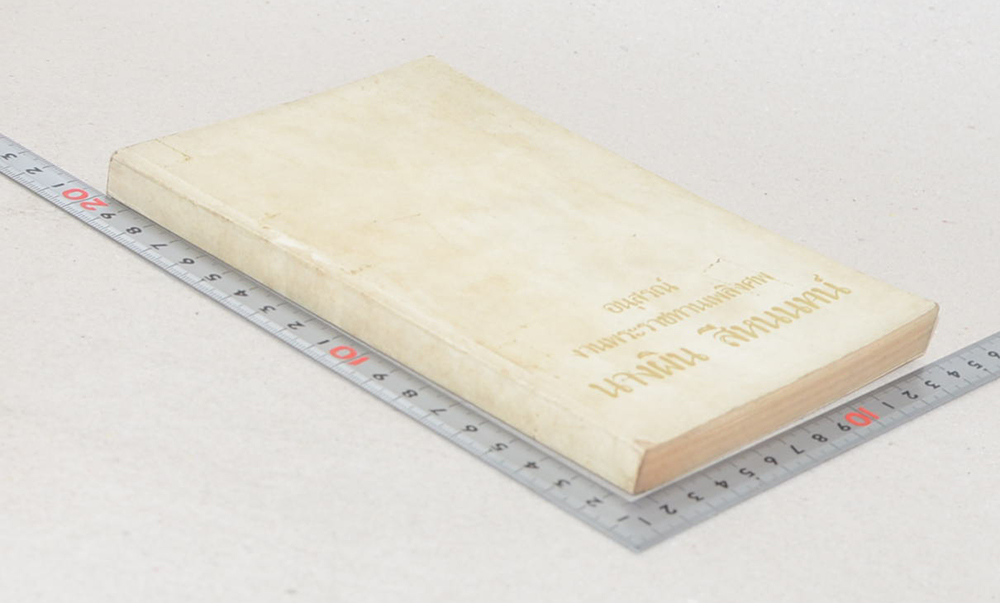 นางผิน สีหนนทน์ (1 ใน 84,000)