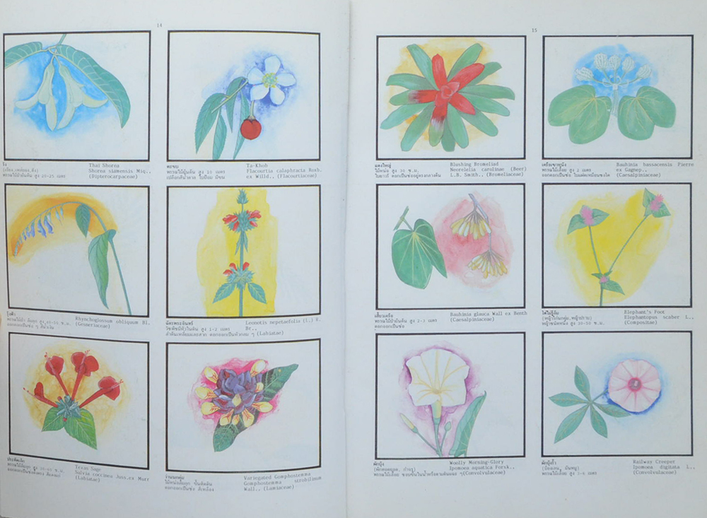 พจนานุกรมไม้ดอกไม้ประดับในเมืองไทย (2 เล่มจบ / ขายตามสภาพ)