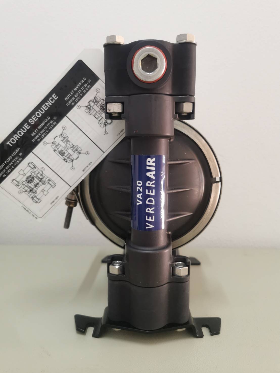 Diaphragm Pump, VERDERAIR,VA20AP-SSTFTFTBOO