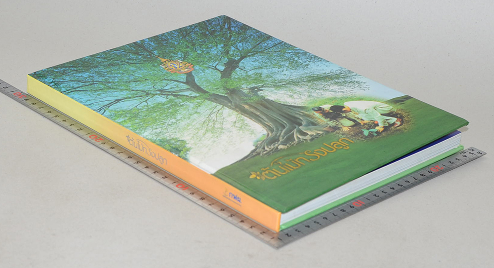 ต้นไม้ทรงปลูก (ไม่มี CD / พร้อมกล่อง / ขายตามสภาพ)