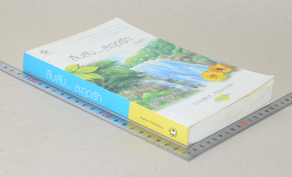 สืบลับ...สะดุดรัก