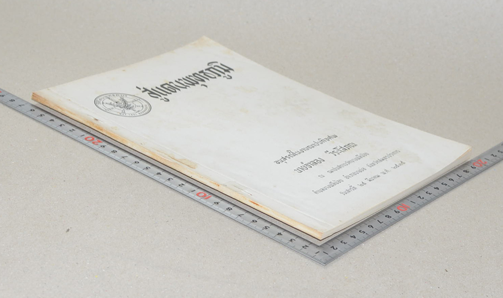 สู่แดนพุทธภูมิ