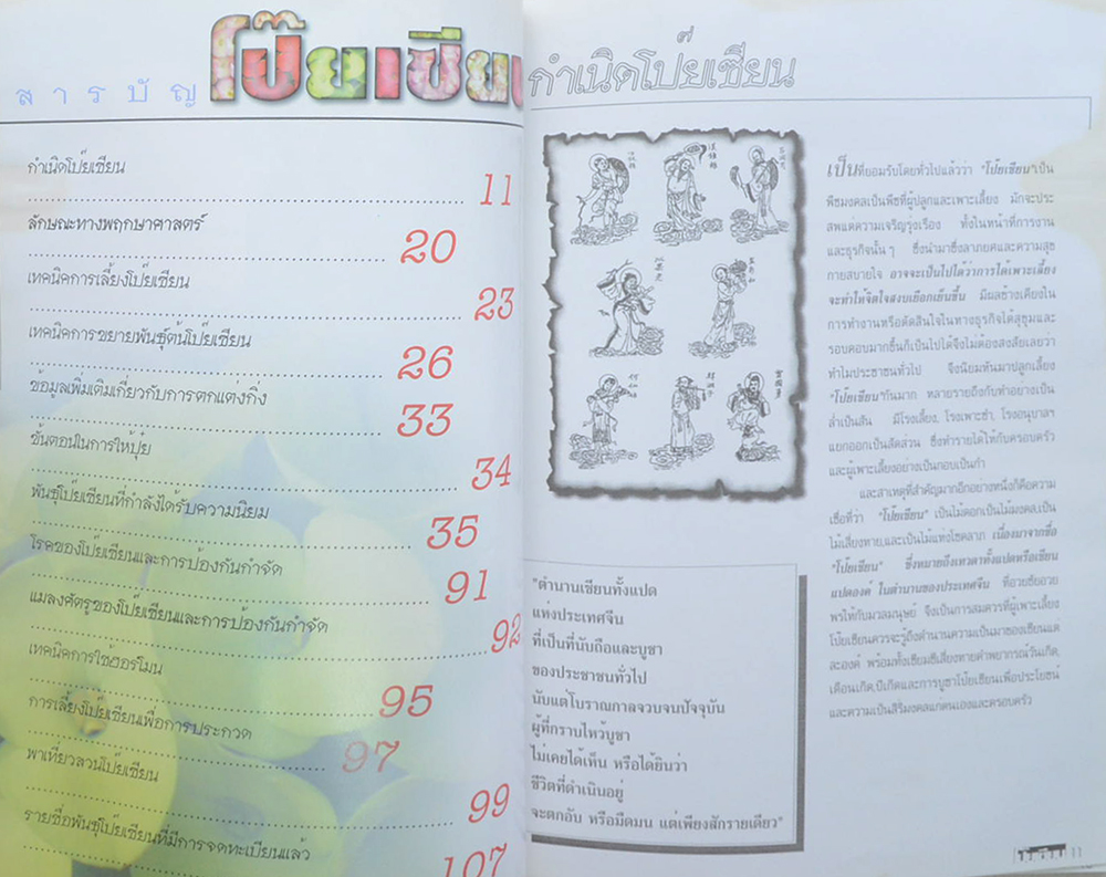 โป๊ยเซียน ไม้ประดับมหามงคล (เล่ม 1)