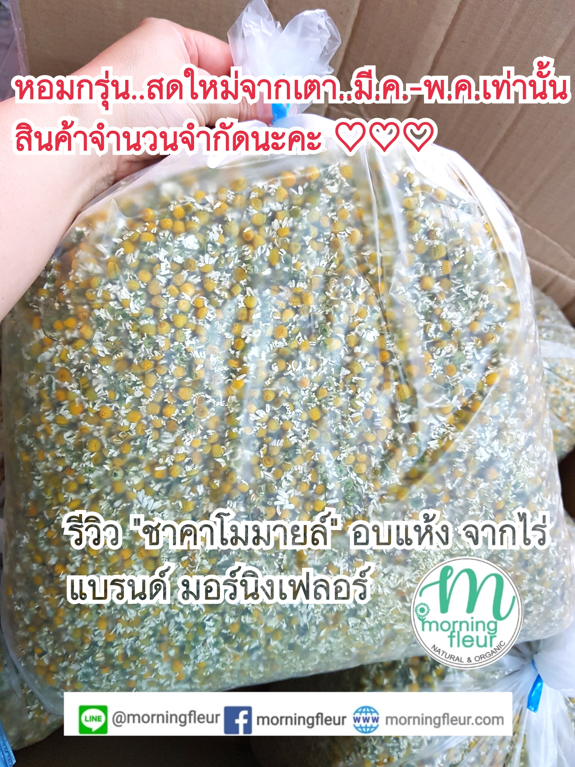 ♡(ราคาส่งกิโล)ชาดอกไม้&ชาสมุนไพร Morning Fleur