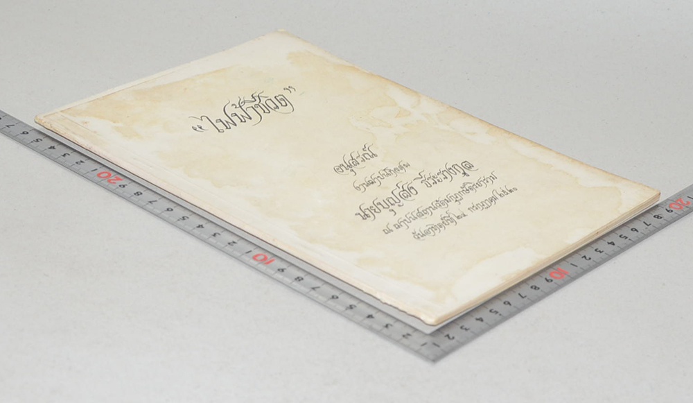 “ไฟฟ้าชีวิต”