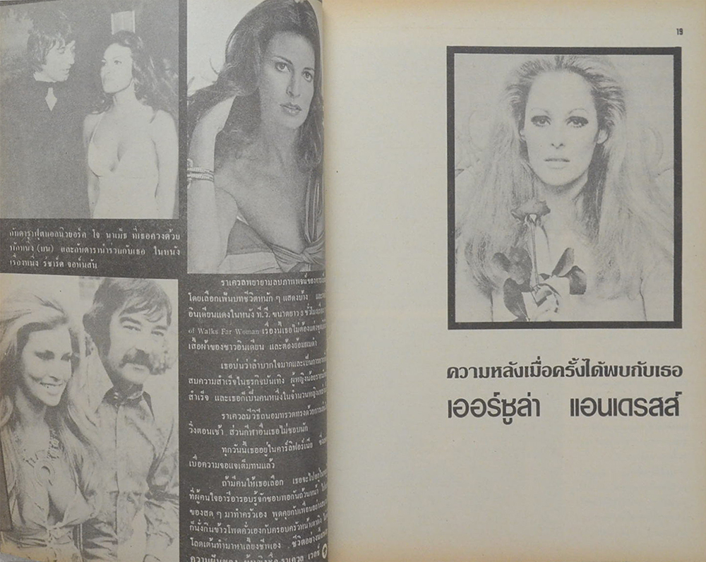 MODERN Man ฉบับพิเศษ ดาราเซ็กซี่