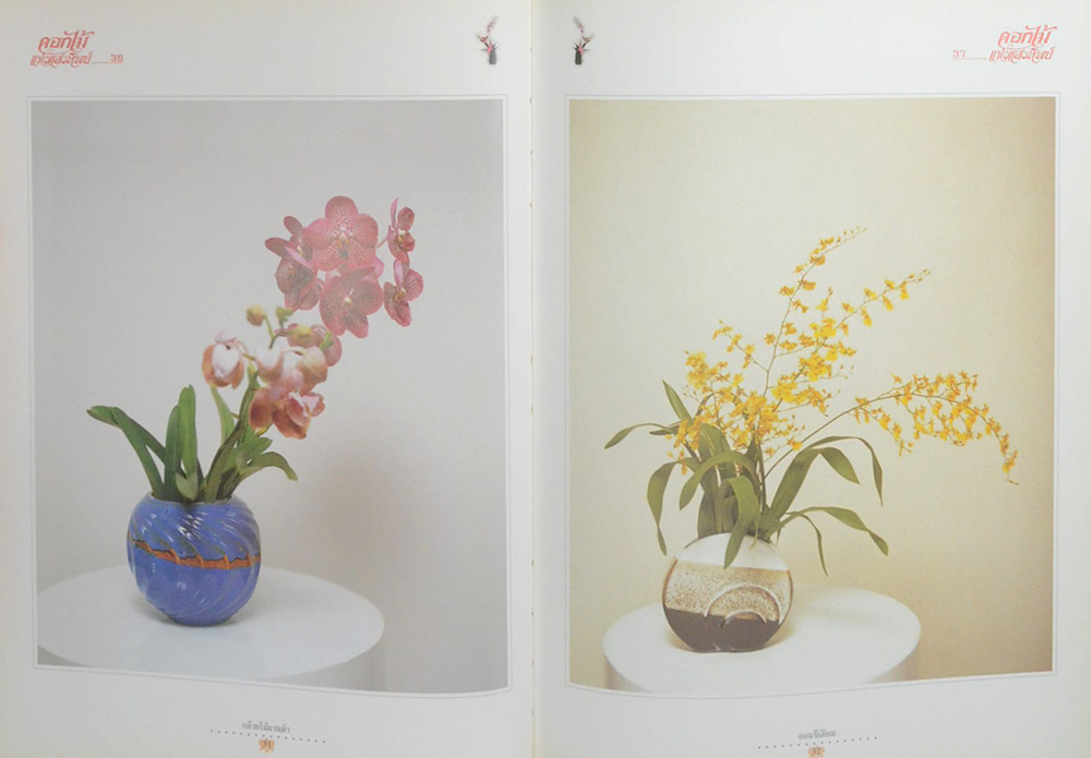 ดอกไม้แห่งแสงทิพย์ (เล่ม 6)