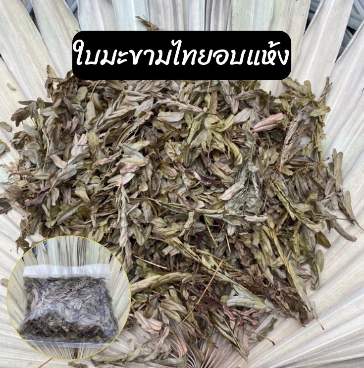 ใบมะขามไทยอบแห้ง ใบมะขาม tamarind leaves