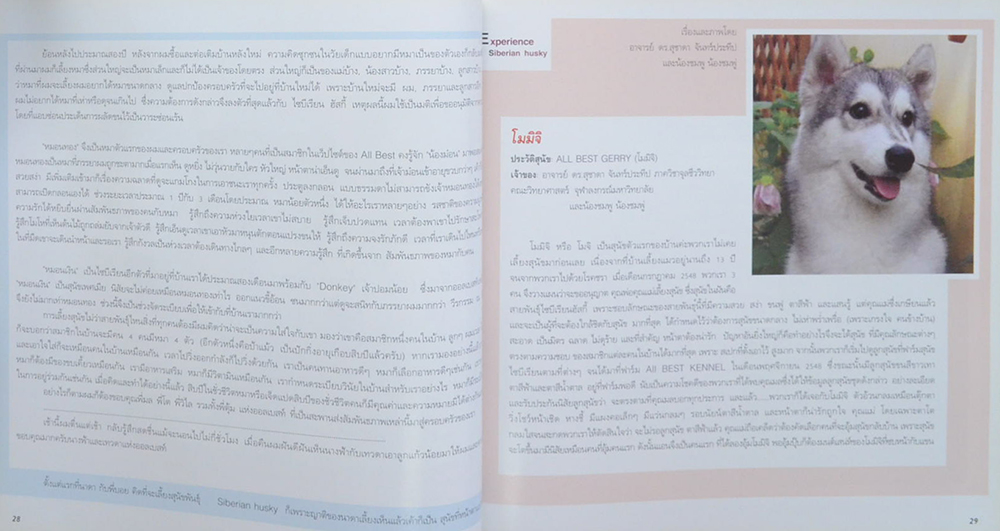 Siberian Husky All Best Kennel