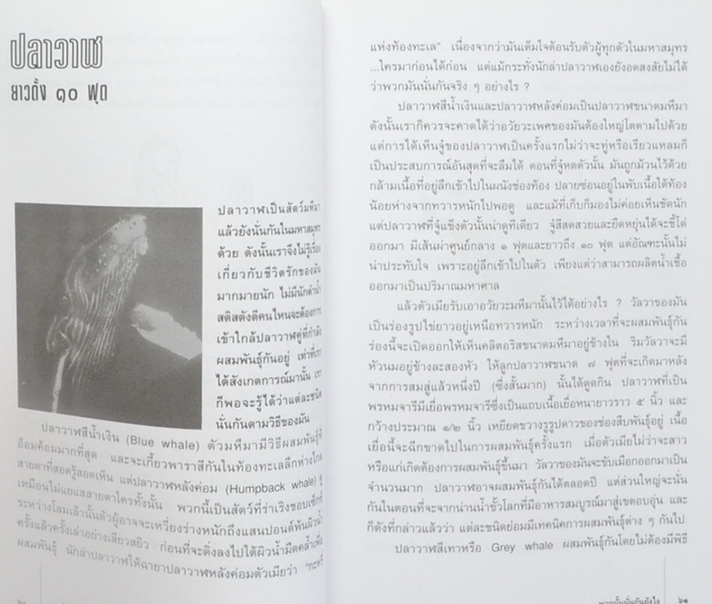 พวกนั้นนั่นกันยังไง